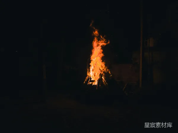 高清摄影 夜幕下的篝火