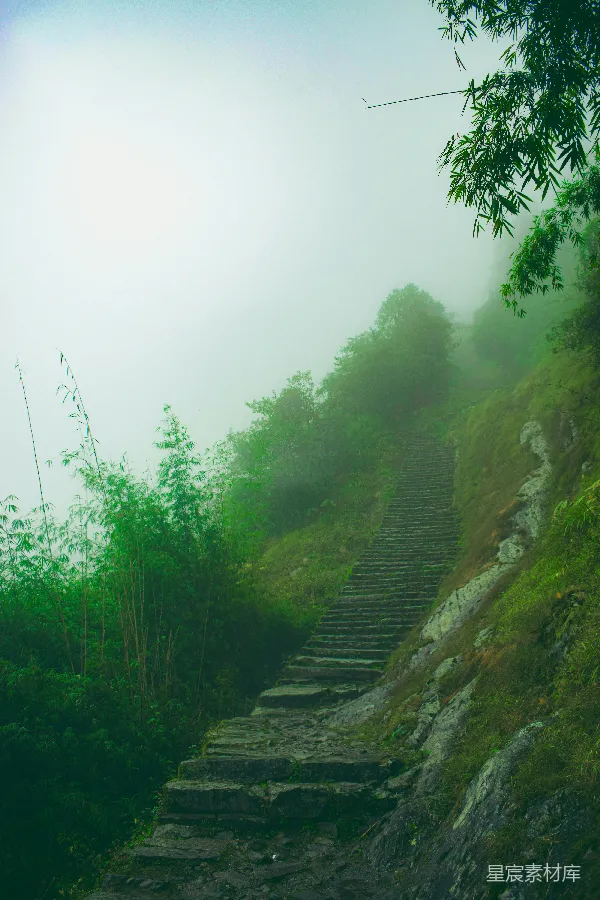 高清摄影 雾中石阶