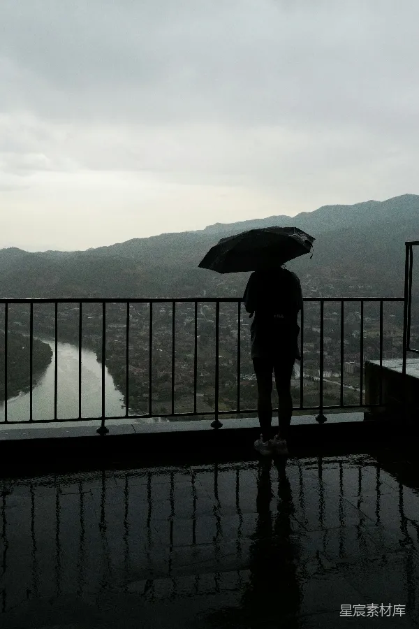 高清摄影 雨中的静谧时光