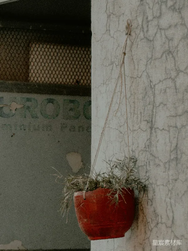 高清摄影 废弃的挂墙花盆