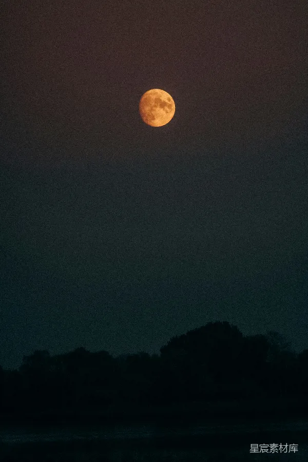 高清摄影 夜空中的满月