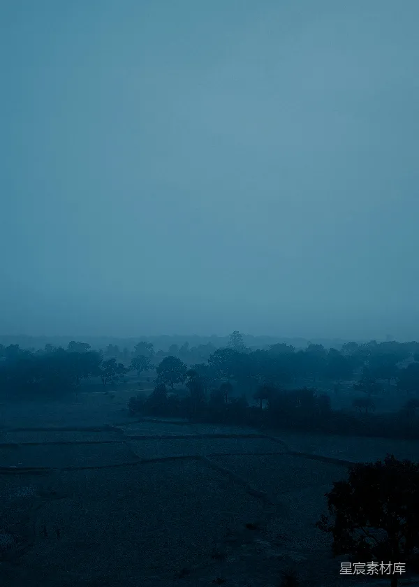 高清摄影 黎明时分的田野
