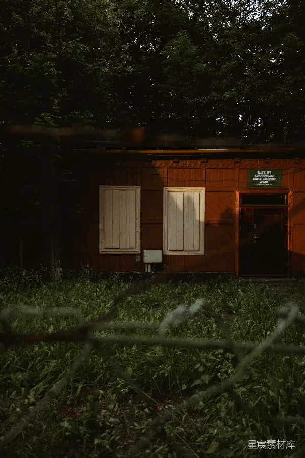 高清摄影 废弃木屋与林间光影
