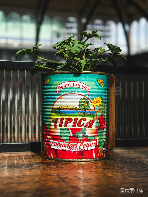 高清摄影 旧罐变身植物盆栽