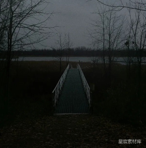 高清摄影 雾中栈道