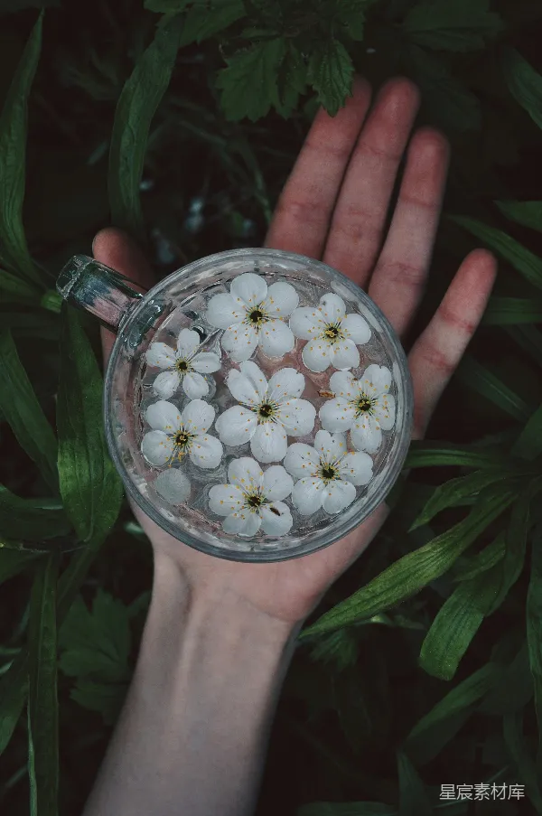 高清摄影 手捧花香
