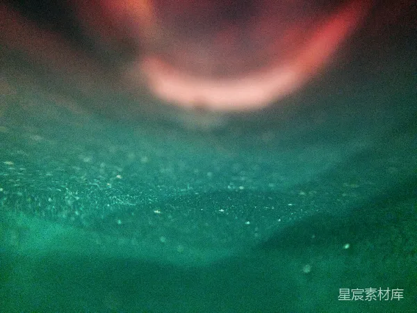 高清摄影 深海中的神秘生物