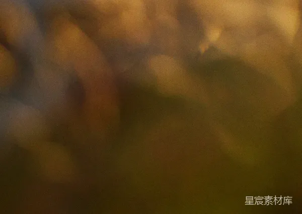 高清摄影 模糊的光斑背景