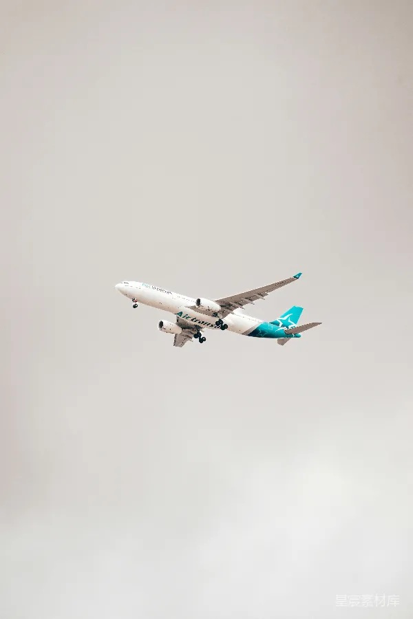 高清摄影 翱翔的空中巨兽：Air Transat客机