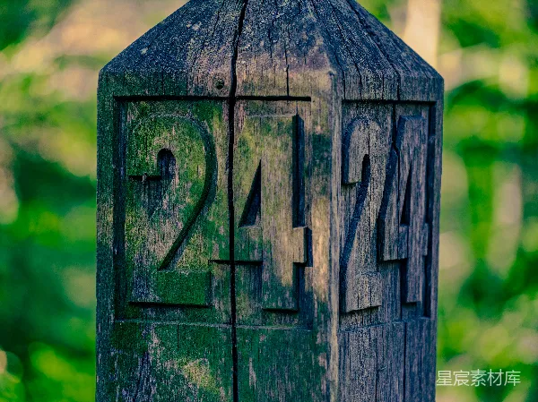 高清摄影 古老木桩上的数字242