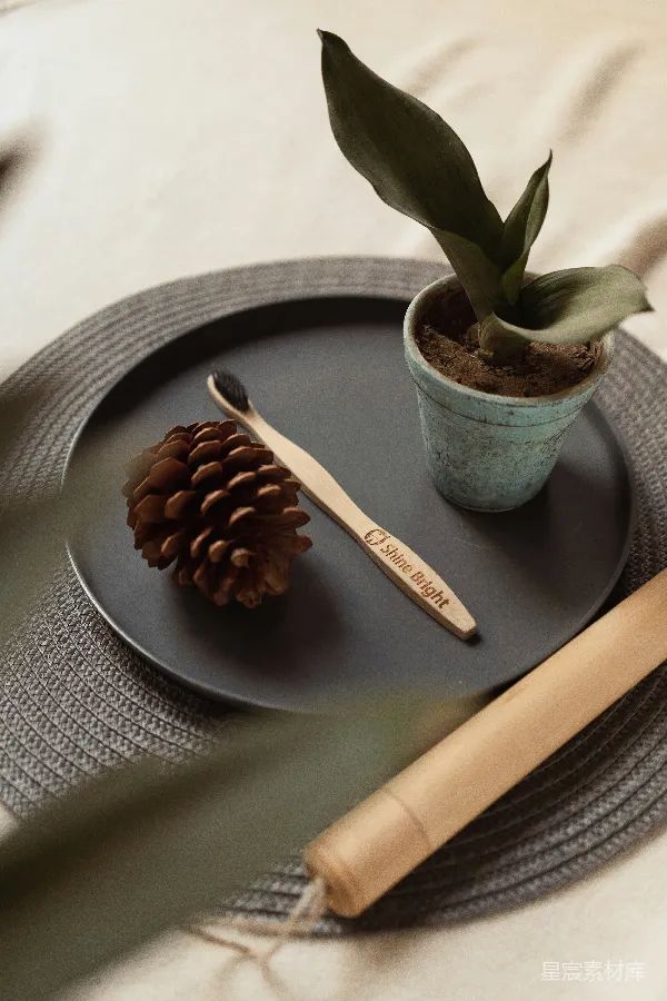 高清摄影 自然与简约的生活美学