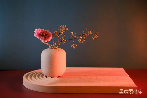高清摄影 简约静物插花艺术