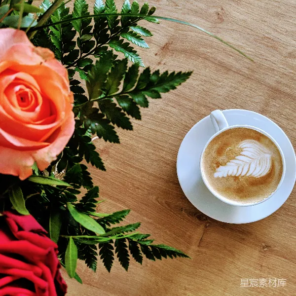高清摄影 花与咖啡的浪漫时光