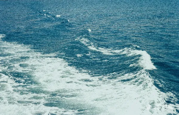 高清摄影 海浪与泡沫