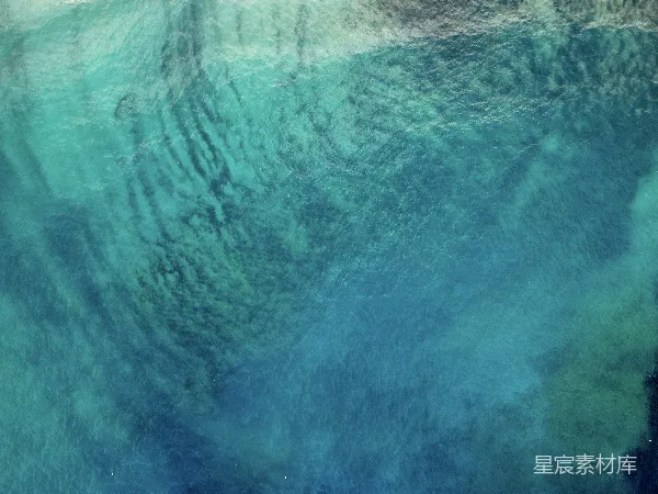 高清摄影 深海之谜