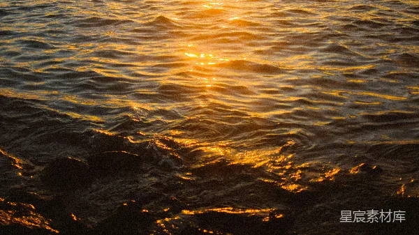 高清摄影 夕阳下的波光粼粼