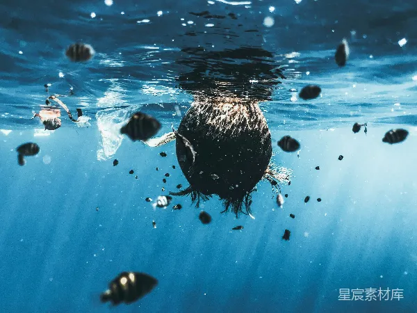 高清摄影 海洋污染：漂浮的垃圾与鱼类