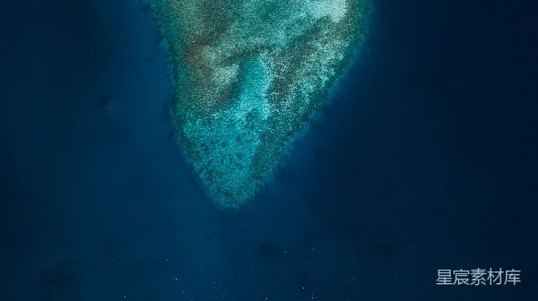 高清摄影 蔚蓝海域的珊瑚礁