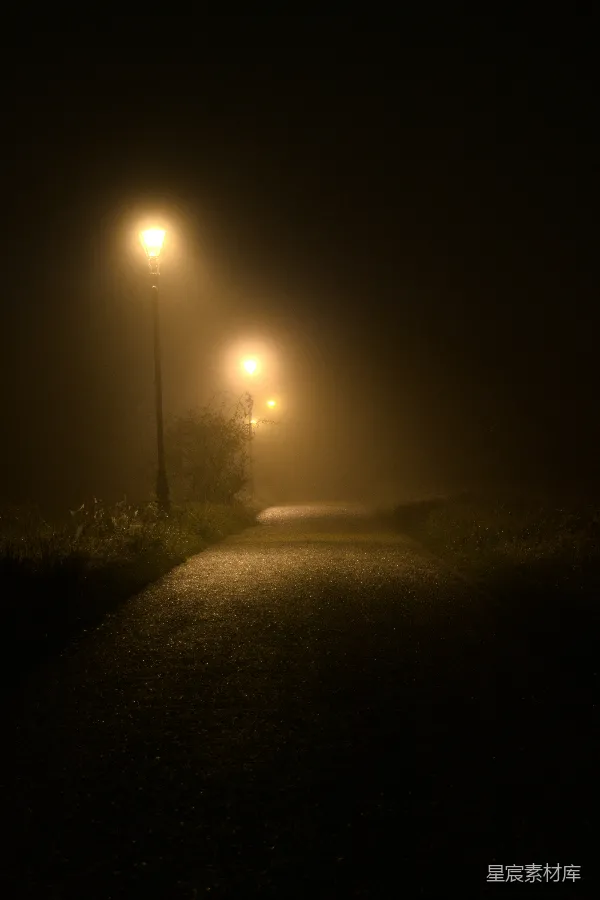高清摄影 雾夜中的路灯