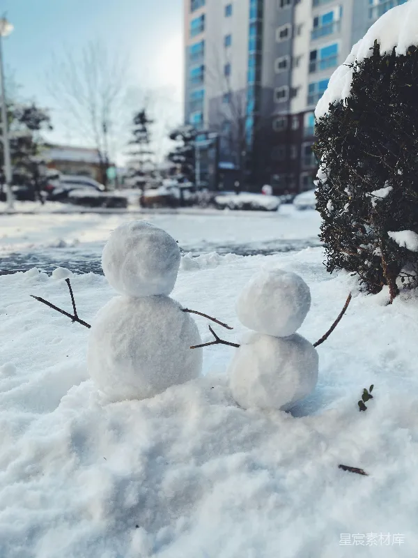 高清摄影 几个在雪中的雪人