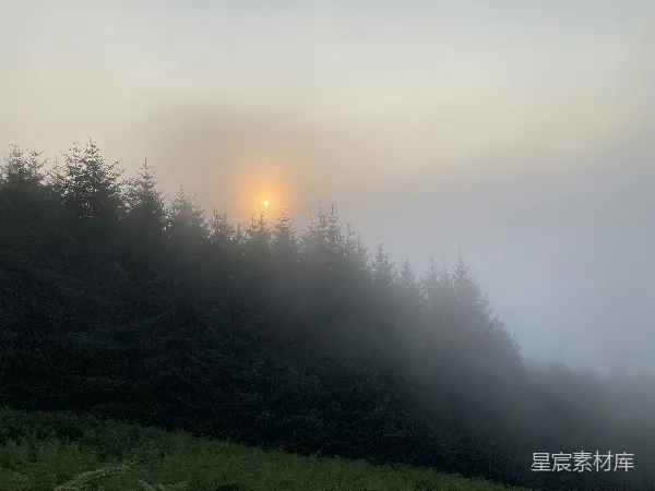 高清摄影 雾中森林的日晕