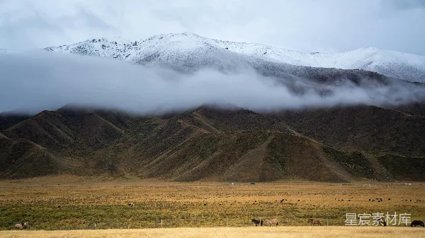 高清摄影 云雾缭绕的雪山草原