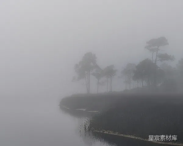 高清摄影 雾中的宁静湖岸