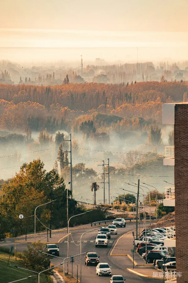 高清摄影 晨雾中的城市景色