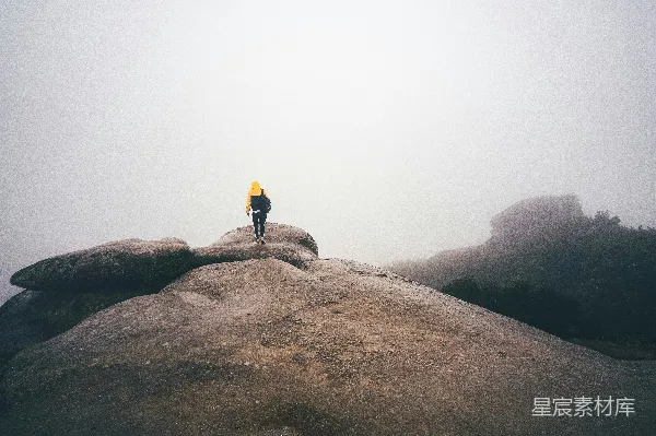 高清摄影 雾中独行者