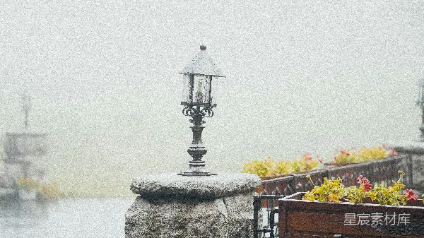 高清摄影 雨中的复古灯与花坛