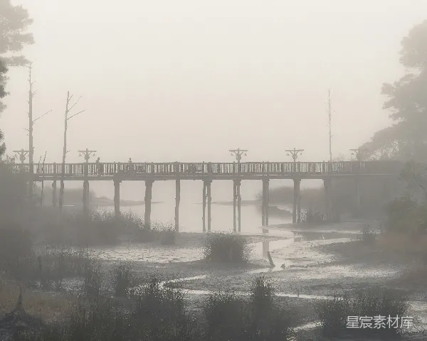 高清摄影 晨雾中的木桥