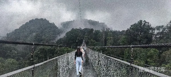 高清摄影 雾中森林吊桥漫步