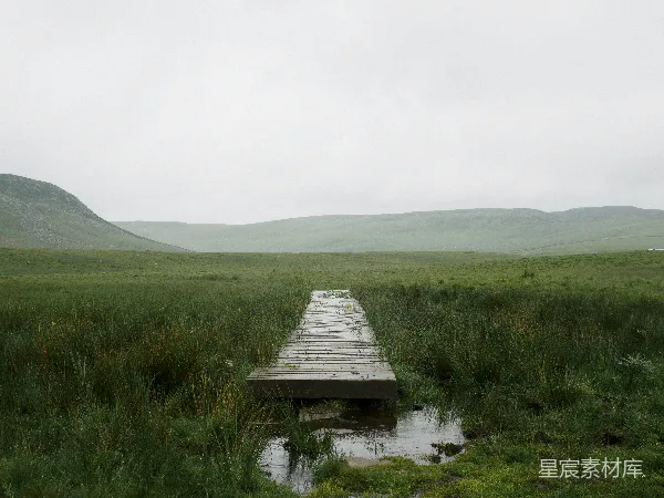 高清摄影 湿地上的木桥
