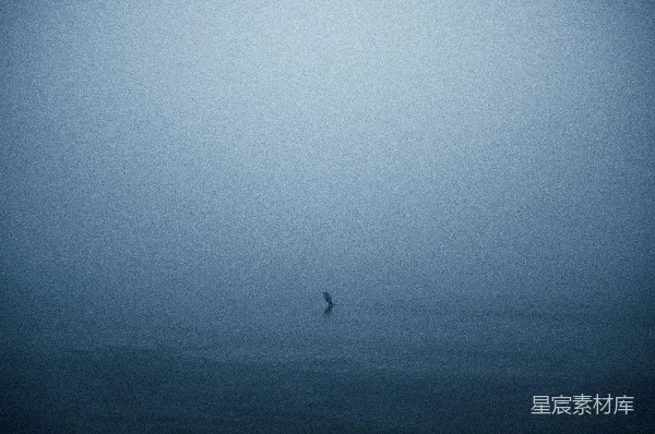 高清摄影 雾中独行