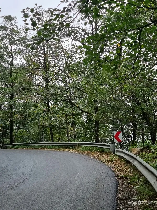 高清摄影 森林中的蜿蜒道路