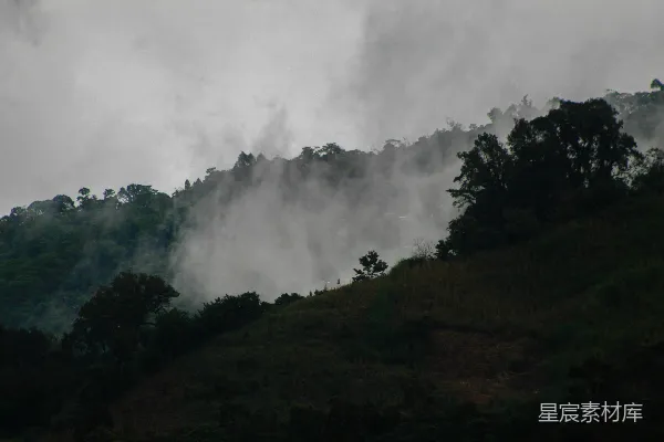 高清摄影 雾中森林