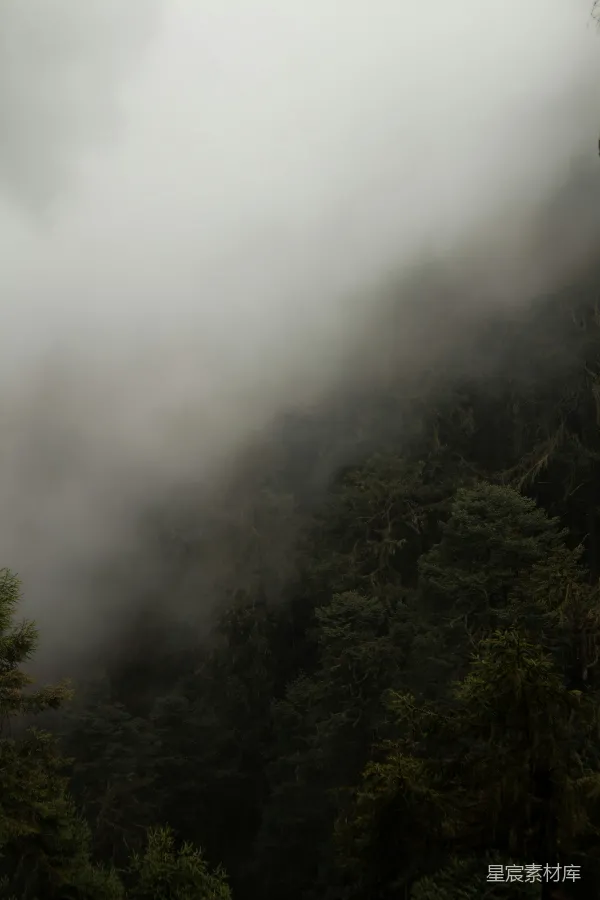 高清摄影 山间迷雾