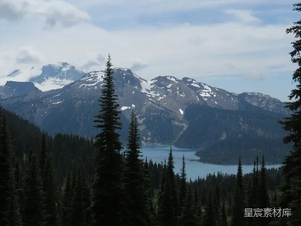 高清摄影 雪山湖泊与松林的自然美景