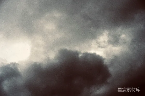 高清摄影 阴沉天空中的鸟影