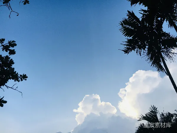 高清摄影 蓝天白云下的热带风情