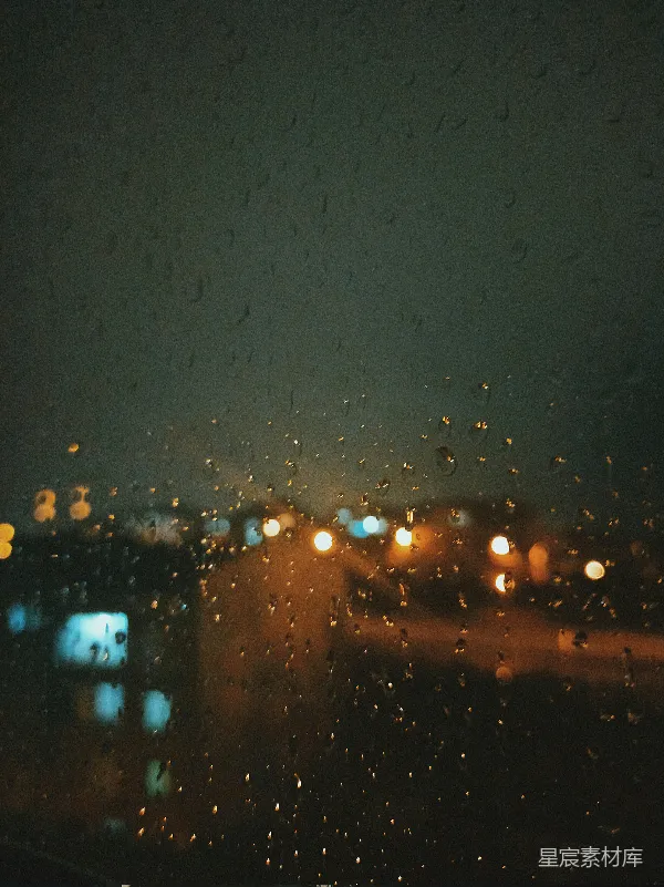 高清摄影 雨夜的城市街景