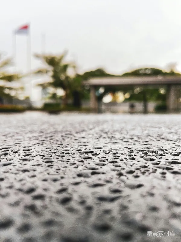高清摄影 雨后路面的水珠