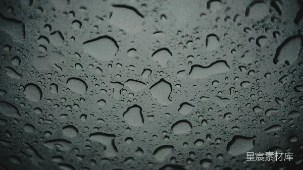 高清摄影 雨滴特写：自然与纹理的完美结合