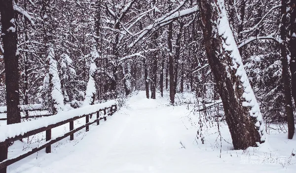 高清摄影 冬日雪景中的木桥