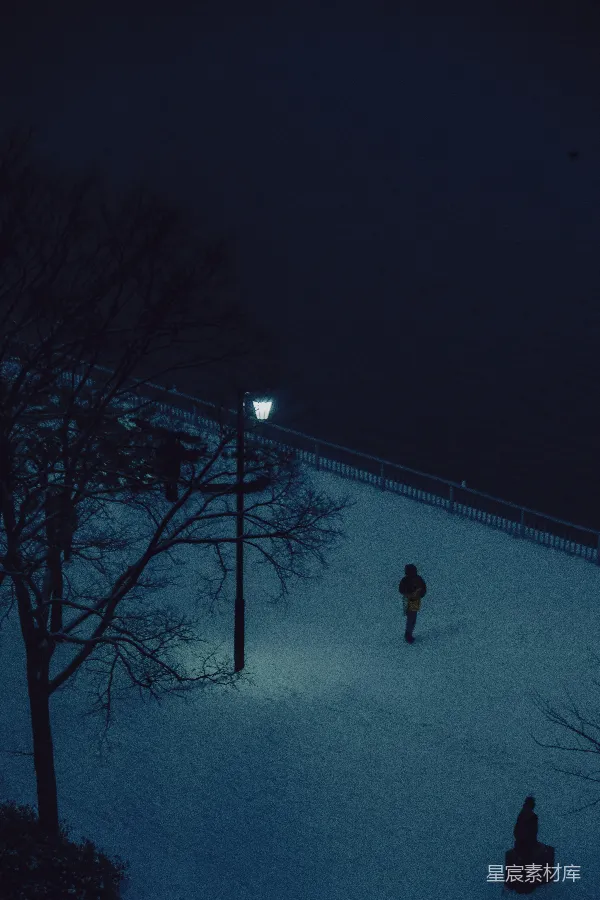 高清摄影 冬夜的湖畔