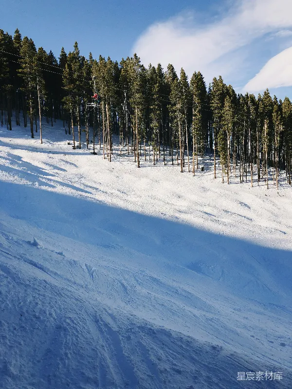 高清摄影 雪场缆车与松树林