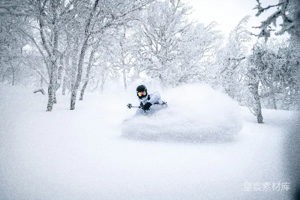 高清摄影 雪地里的速度与激情