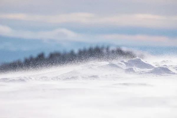 高清摄影 冬日雪景中的风雪飘扬