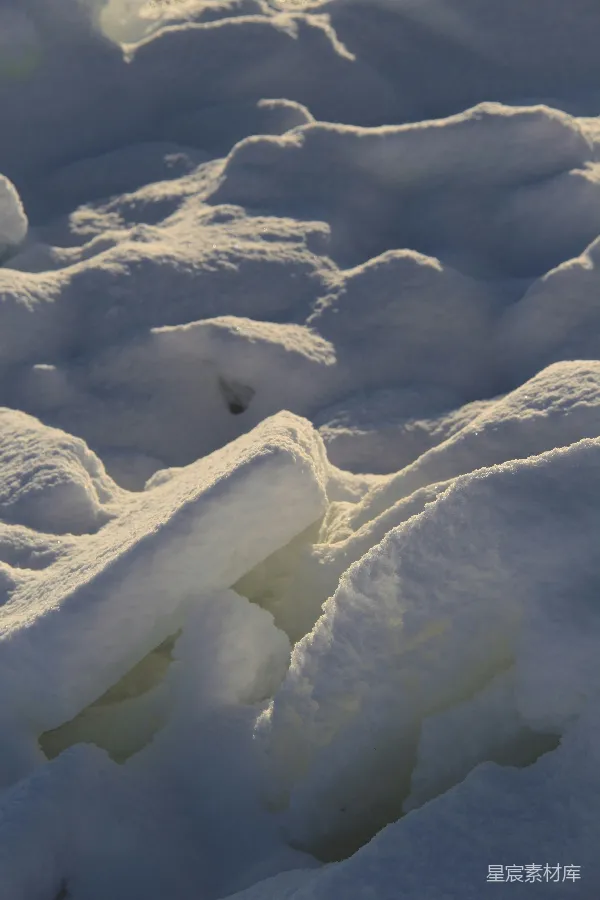 高清摄影 雪地中的冰块
