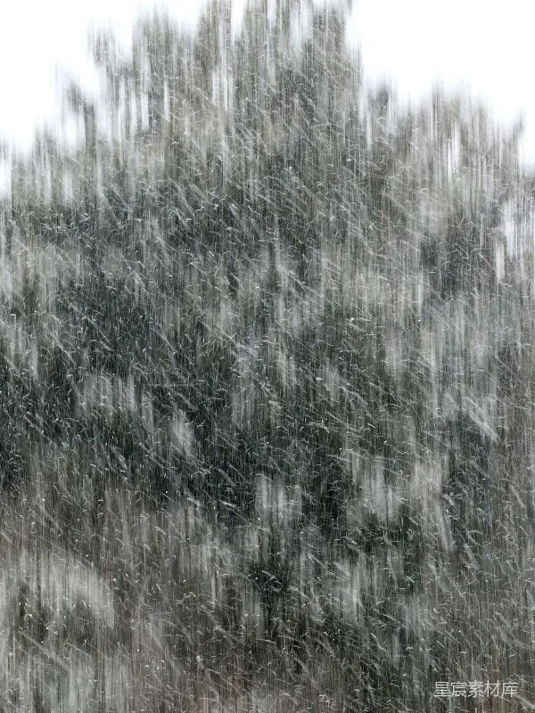 高清摄影 冬日飘雪
